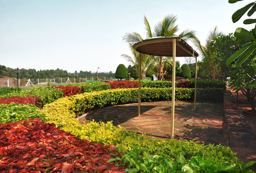 ornamental plants in soft landscaping