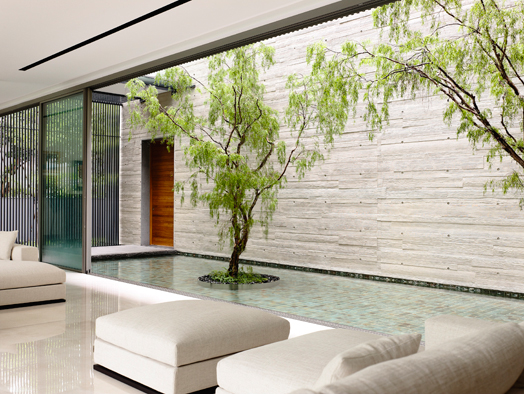 reflective pool flanking living area