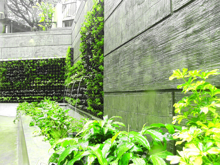 landscaped wall at Gallery G