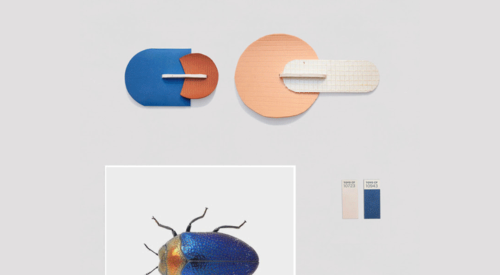 "beetle mut design studio indiaartndesign"