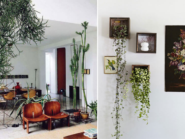 "indoor plants living room decor indiaartndesign"