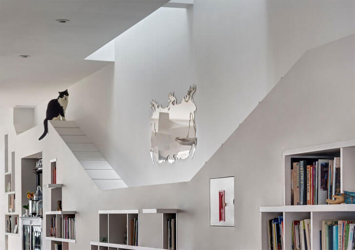 "cat friendly home BFDO Architects indiaartndesign"