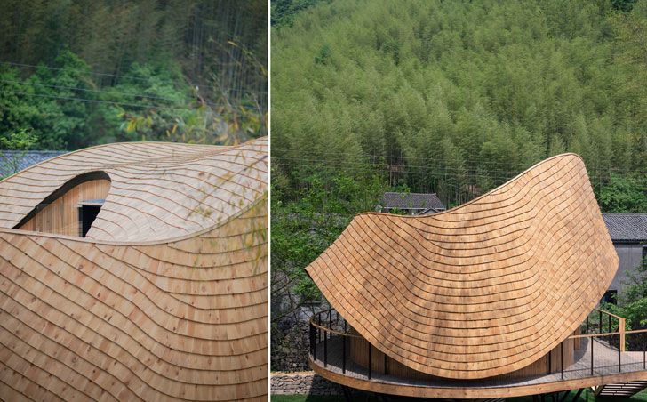 "roof curvature tree wow monoarchi architects indiaartndesign"