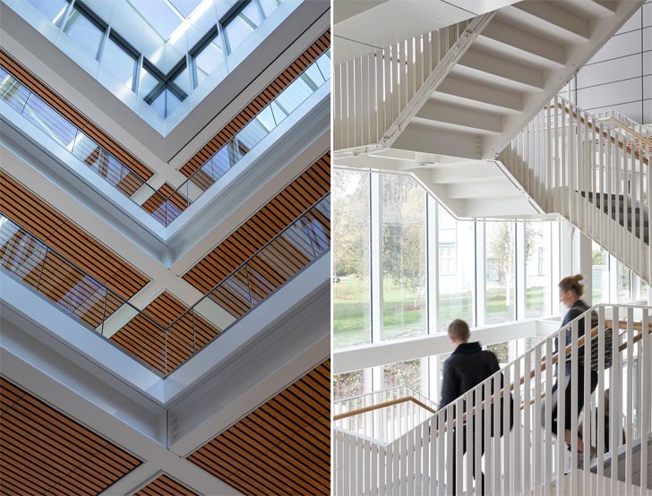 "light filled atrium and stairs TLB nottingham university indiaartndesign"