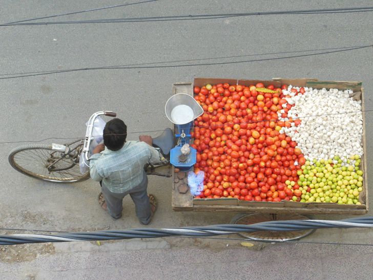 "tomatoes lemons garlic cart AnkonMitra MyGotoTherapist indiaartndesign"