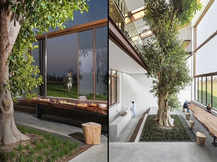 "The Greenary CarloRattiAssociati ItaloRota indiaartndesign"