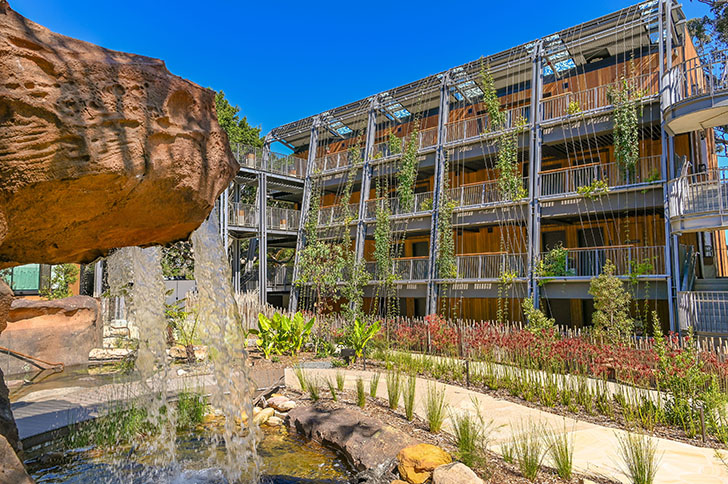 Australian Wildlife Retreat: Ecology, Sustainability, and Immersive ...