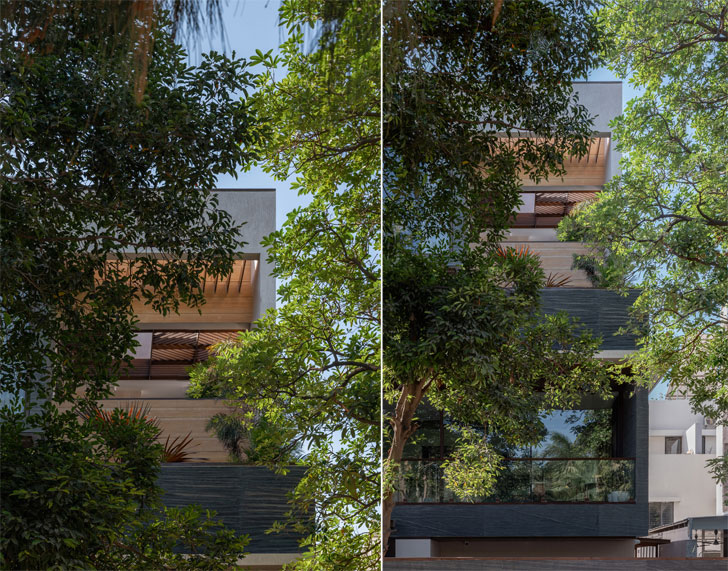 Gallery image with a fresh perspective