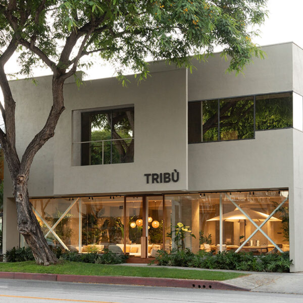 "tribu flagship NCA studio inc indiaartndesign"