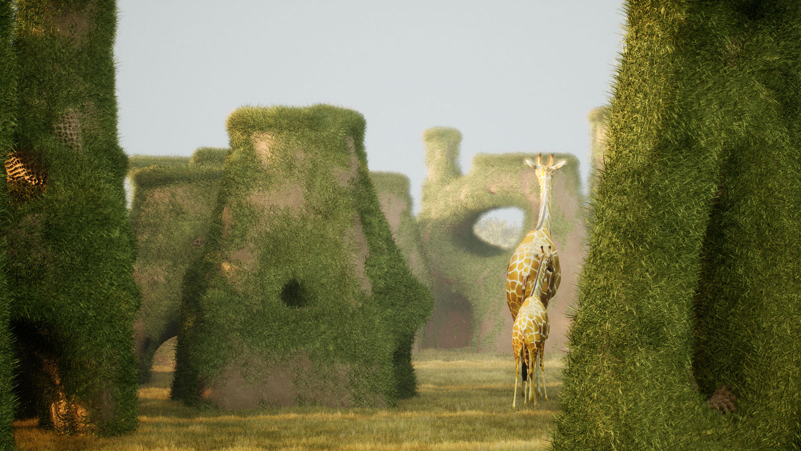 giraffe water towers in the plains of Serengeti designed by zoo architects