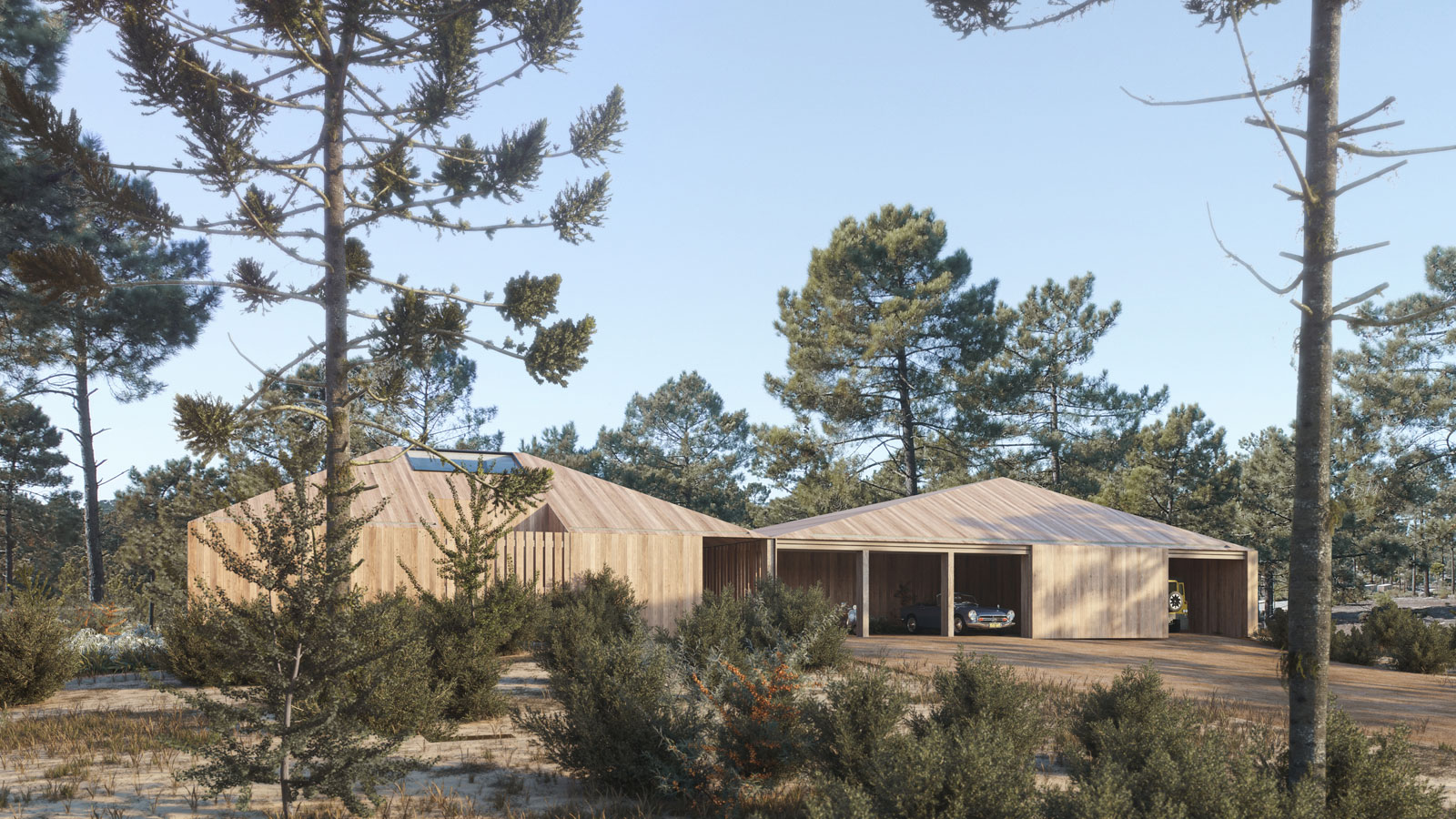 house in a pine forest in portugal designed by pimaa architecture studio
