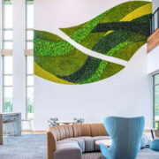 preserveed plant installation called garden on the wall