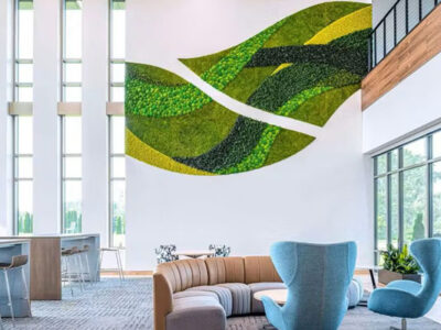 preserveed plant installation called garden on the wall