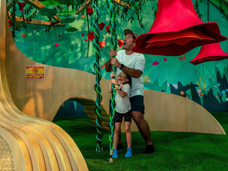 curiosity cove at mandai wildlife resort singapore designed by moment factory