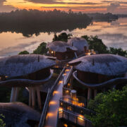 mandai rainforest resort designed by wow architects