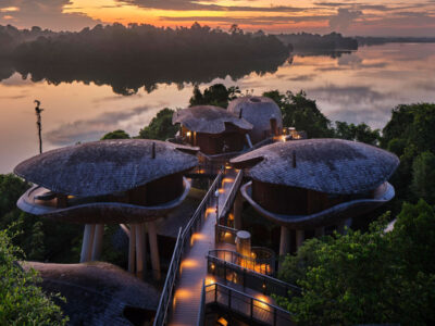 mandai rainforest resort designed by wow architects