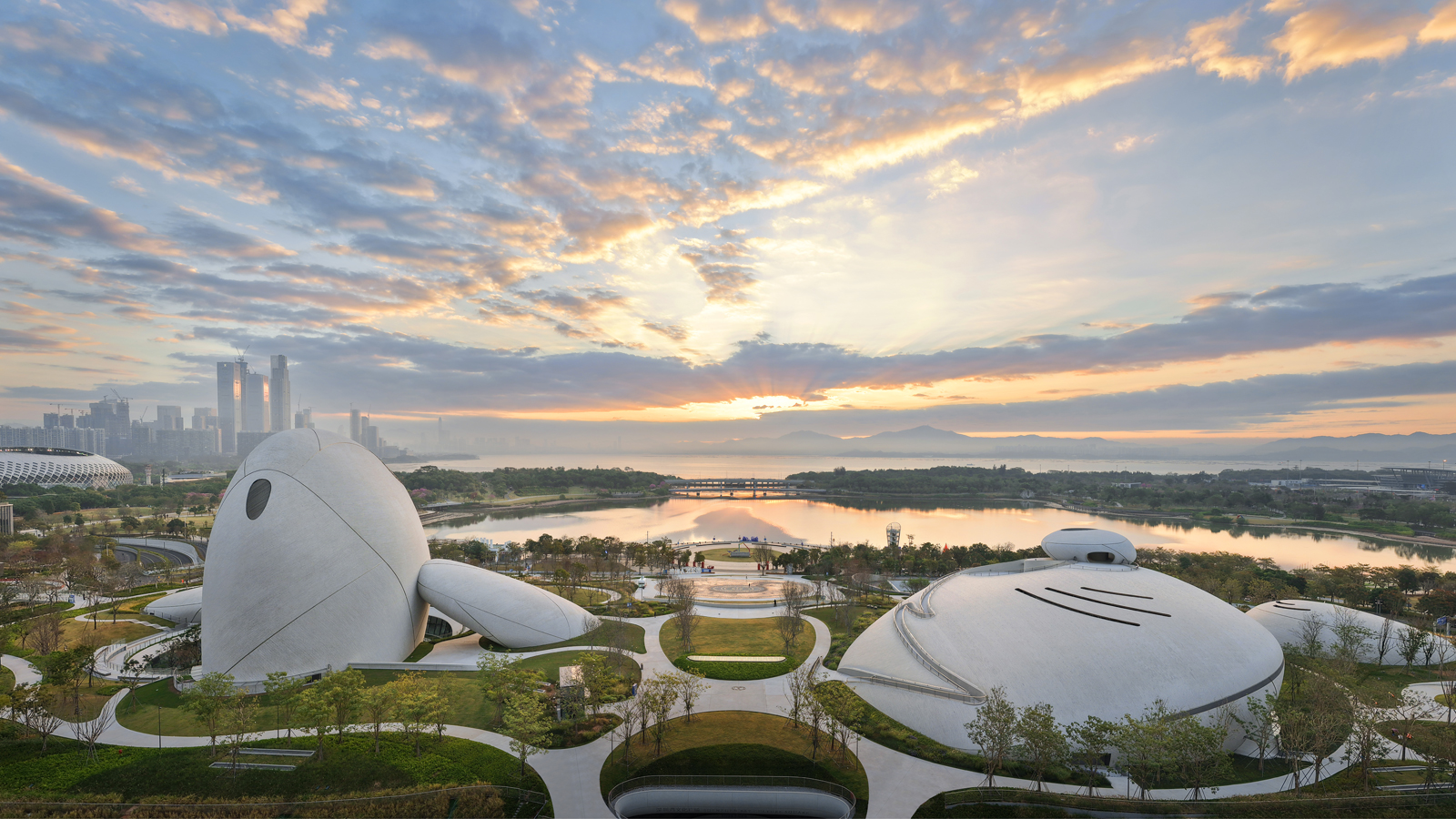 shenzhen bay culture square designed by MAD architects where the building merges with teh coastline